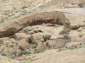 SC de TENERIFE (333) Arco de Tajao