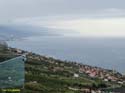 SC de TENERIFE (345) EL SAUZAL