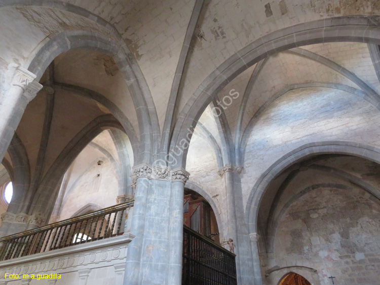 SANTA MARIA DEL CAMPO (110) Iglesia de Ntra Sra de la Asuncion