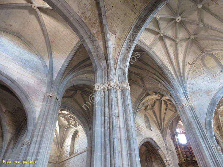 SANTA MARIA DEL CAMPO (111) Iglesia de Ntra Sra de la Asuncion