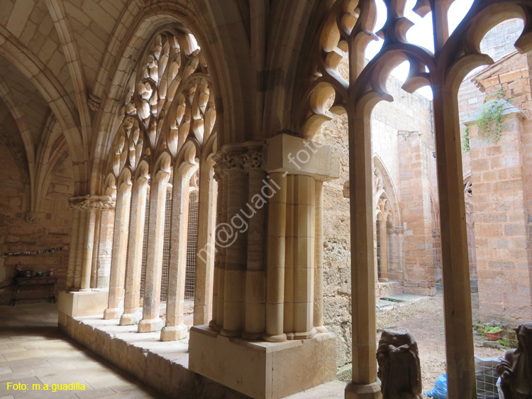 SANTA MARIA DEL CAMPO (154) Iglesia de Ntra Sra de la Asuncion