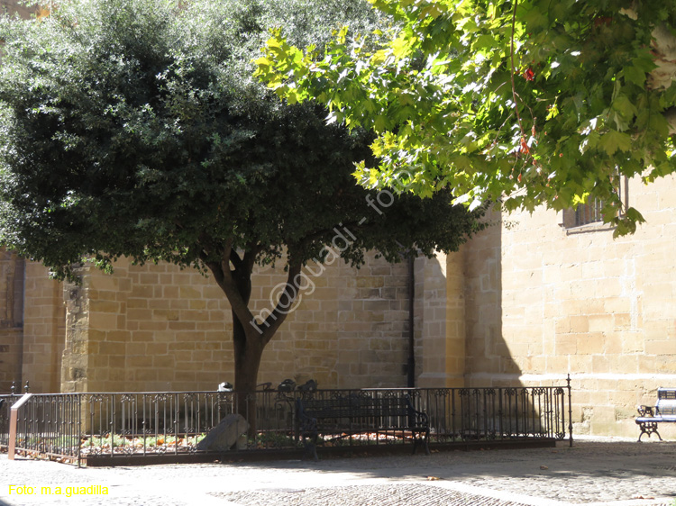 SANTO DOMINGO DE LA CALZADA (141) Arbol del Jardin del Eden