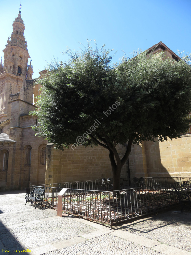 SANTO DOMINGO DE LA CALZADA (142) Plaza España
