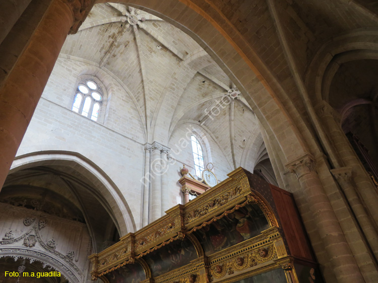 SANTO DOMINGO DE LA CALZADA (170) Catedral