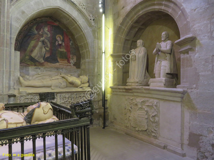 SANTO DOMINGO DE LA CALZADA (176) Catedral