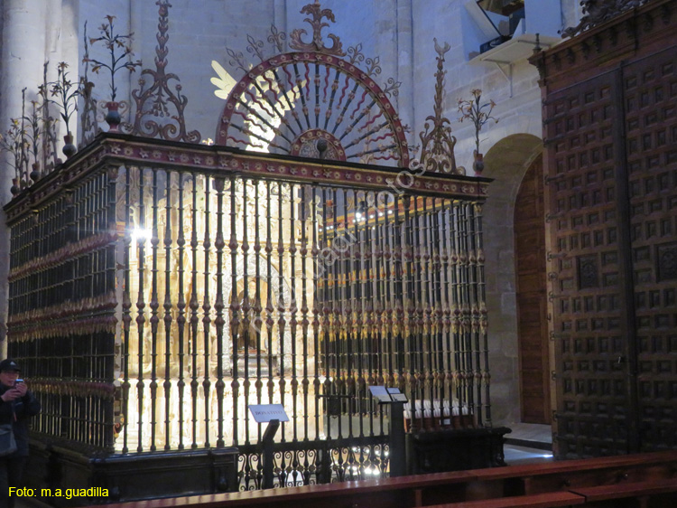 SANTO DOMINGO DE LA CALZADA (188) Catedral