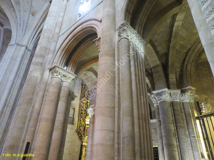 SANTO DOMINGO DE LA CALZADA (205) Catedral