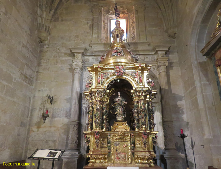 SANTO DOMINGO DE LA CALZADA (210) Catedral