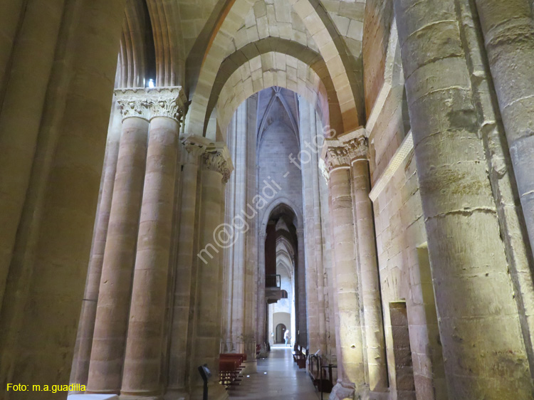 SANTO DOMINGO DE LA CALZADA (212) Catedral