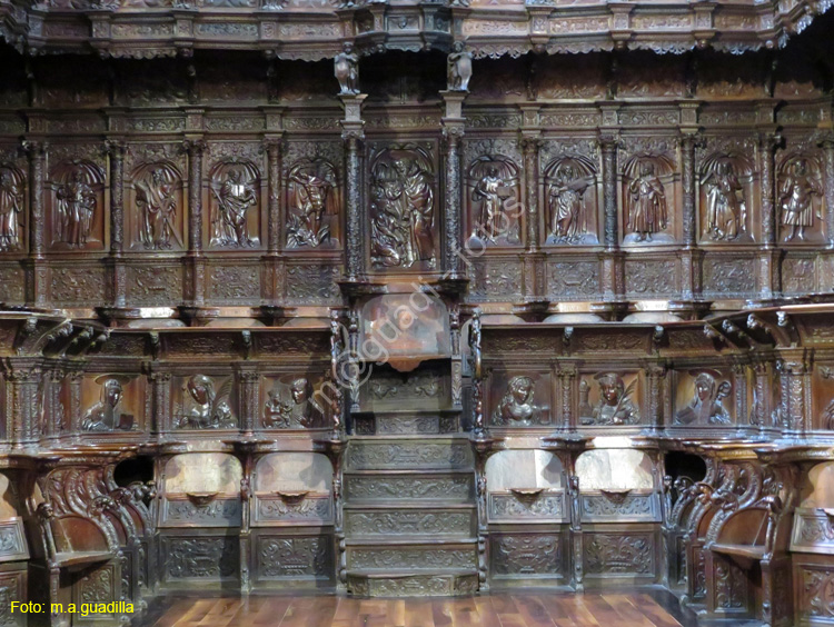 SANTO DOMINGO DE LA CALZADA (225) Catedral