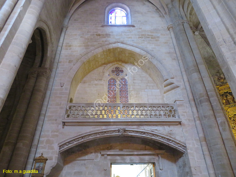 SANTO DOMINGO DE LA CALZADA (227) Catedral