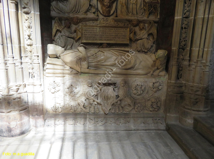 SANTO DOMINGO DE LA CALZADA (232) Catedral