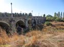 SANTO DOMINGO DE LA CALZADA (312) Puente sobre el rio Oja