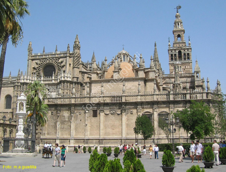 SEVILLA (101) Catedral