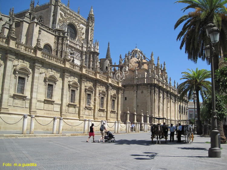 SEVILLA (102) Catedral