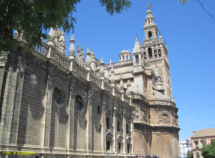 SEVILLA (106) Catedral