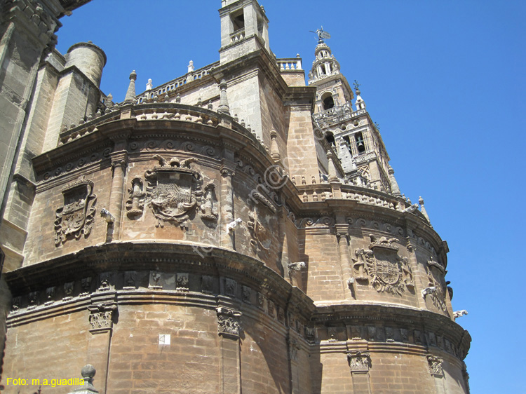 SEVILLA (107) Catedral