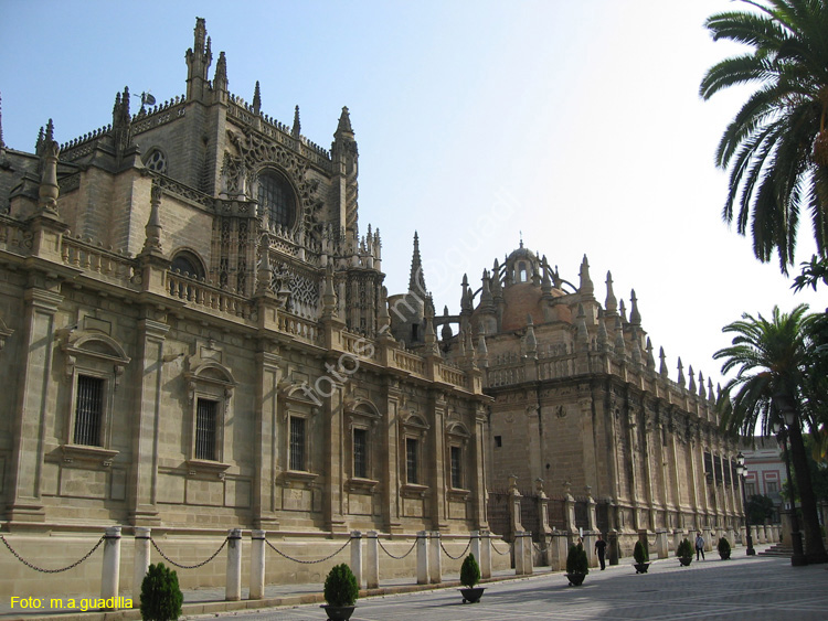 SEVILLA (109) Catedral