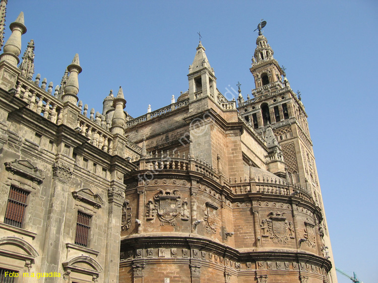 SEVILLA (110) Catedral