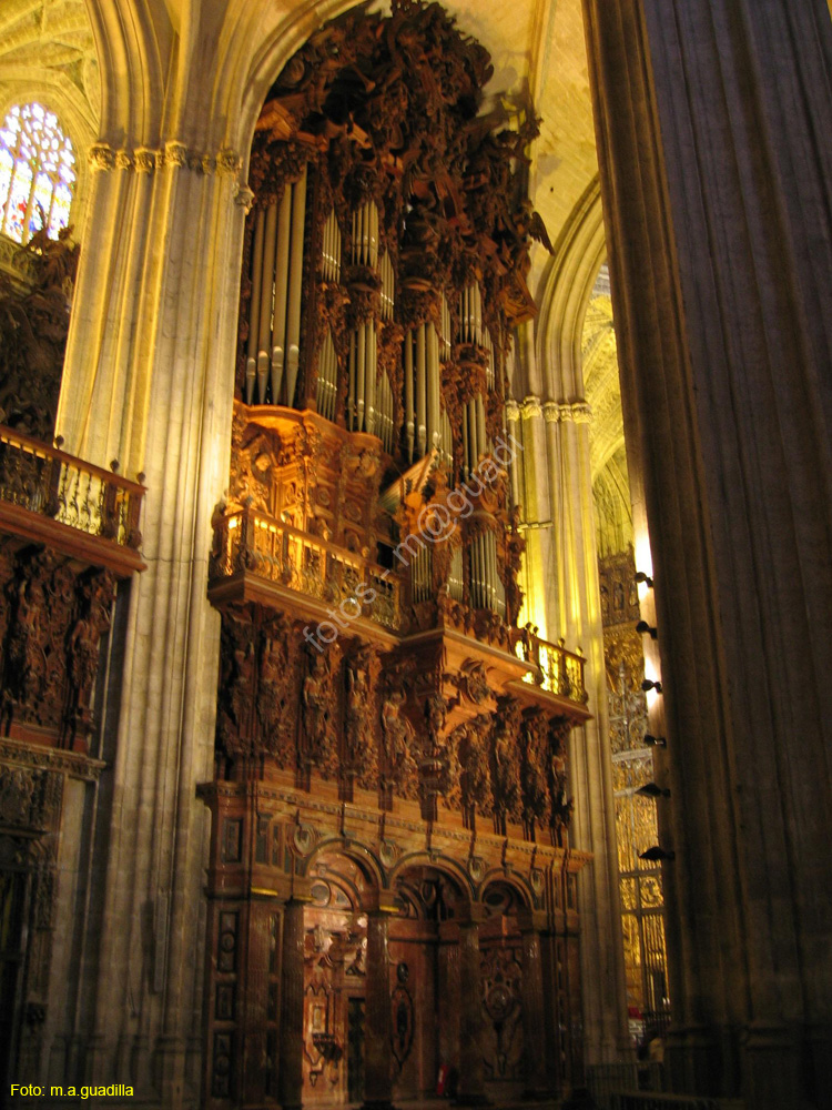 SEVILLA (113) Catedral