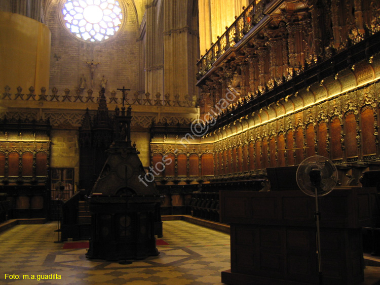 SEVILLA (122) Catedral