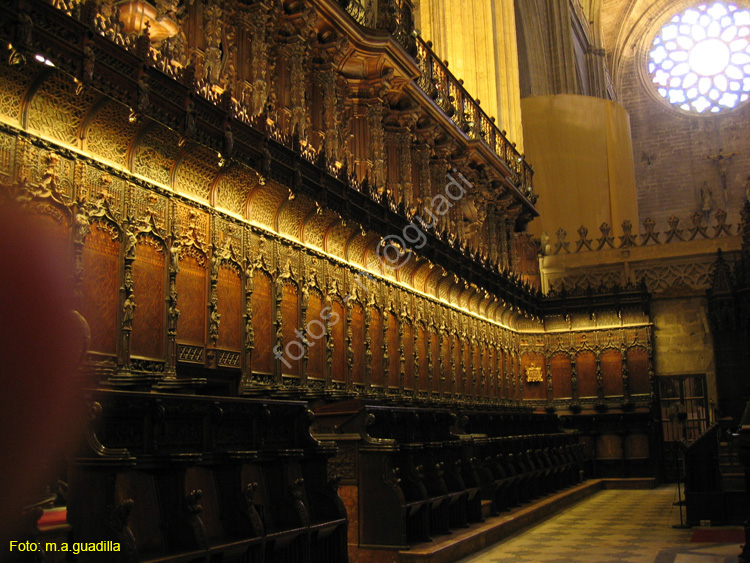 SEVILLA (123) Catedral