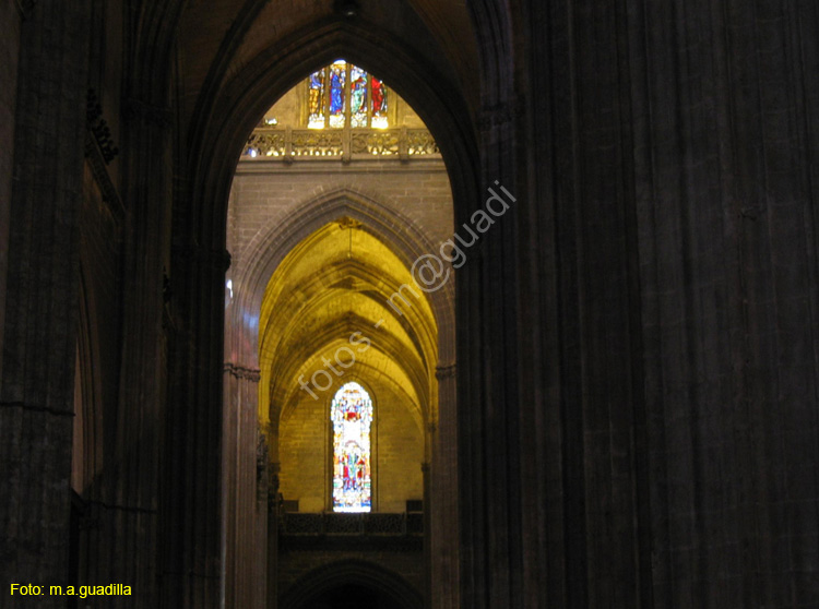 SEVILLA (137) Catedral