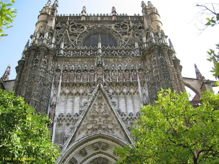 SEVILLA (145) Catedral