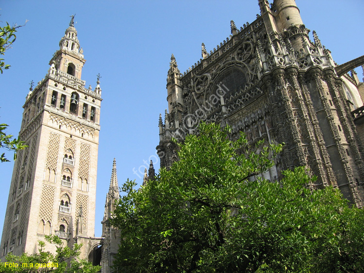 SEVILLA (148) Catedral