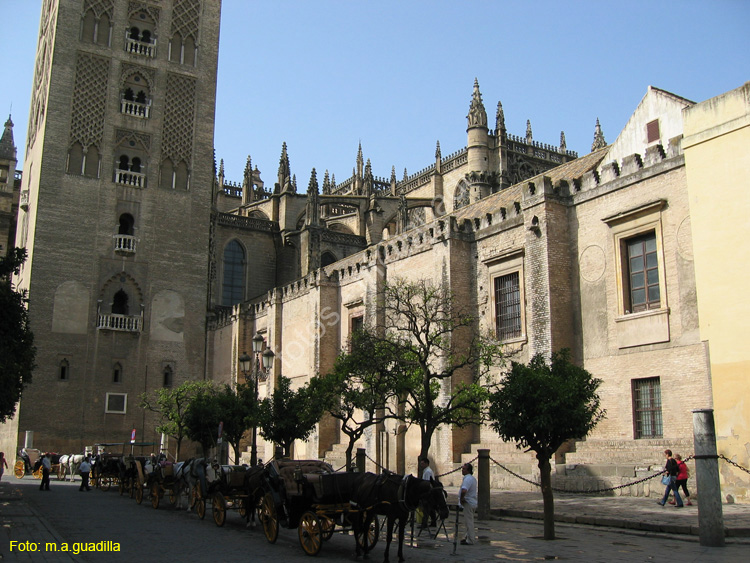 SEVILLA (150) Catedral