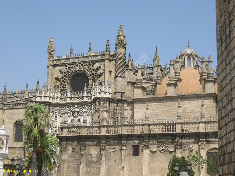 SEVILLA (151) Catedral