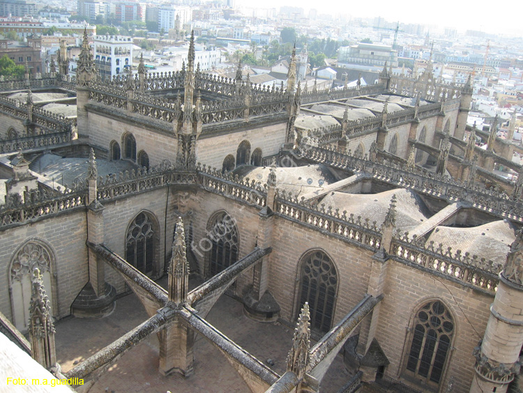 SEVILLA (152) Catedral