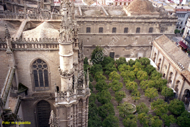 SEVILLA (154) Catedral Patio de los Naranjos