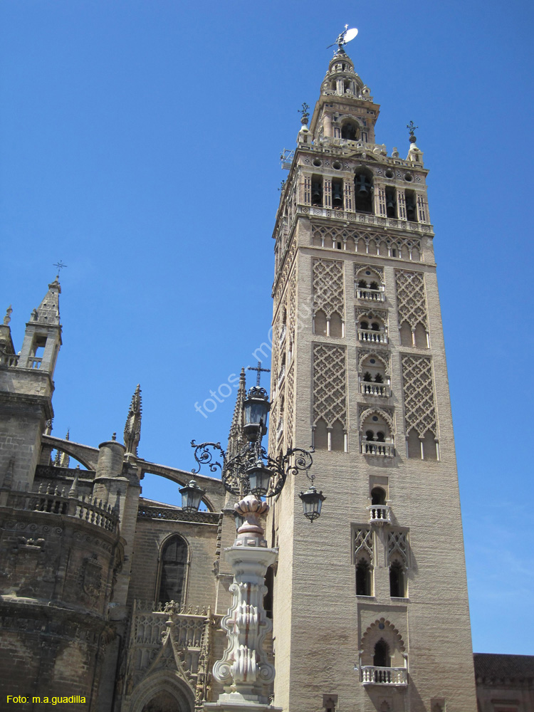 SEVILLA (155) La Giralda