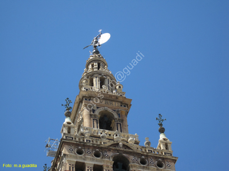 SEVILLA (156) La Giralda