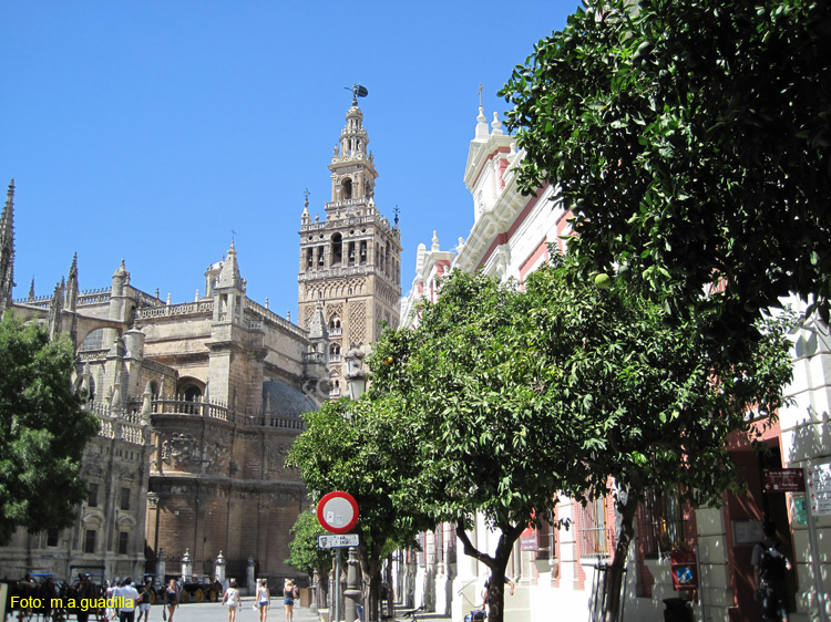 SEVILLA (157) La Giralda