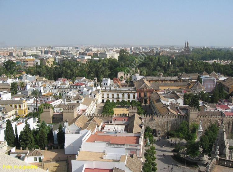 SEVILLA (163) Vista desde La Giralda