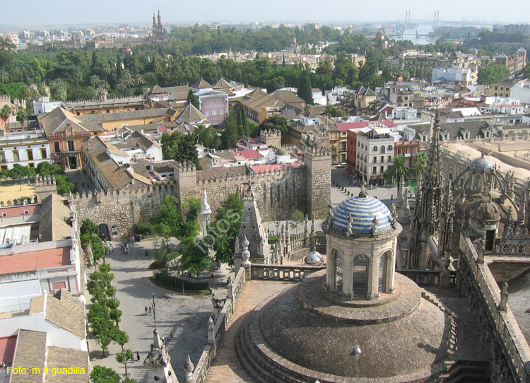 SEVILLA (164) Vista desde La Giralda