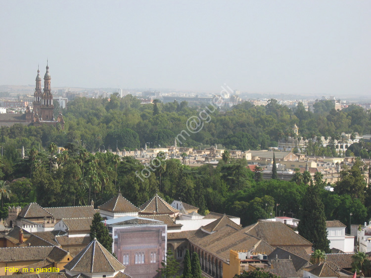 SEVILLA (166) Vista desde La Giralda