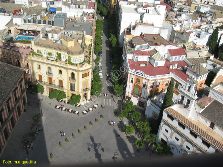 SEVILLA (167) Vista desde La Giralda