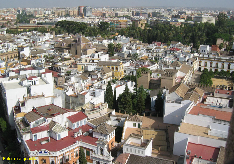 SEVILLA (168) Vista desde La Giralda