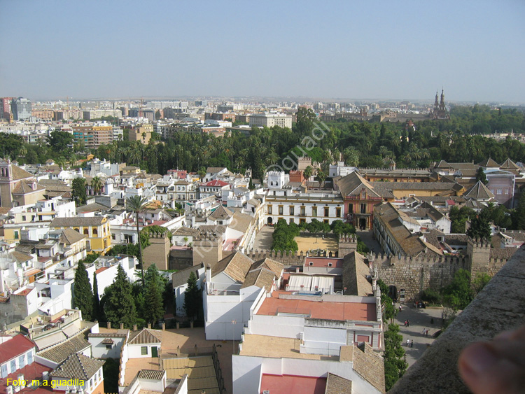 SEVILLA (169) Vista desde La Giralda