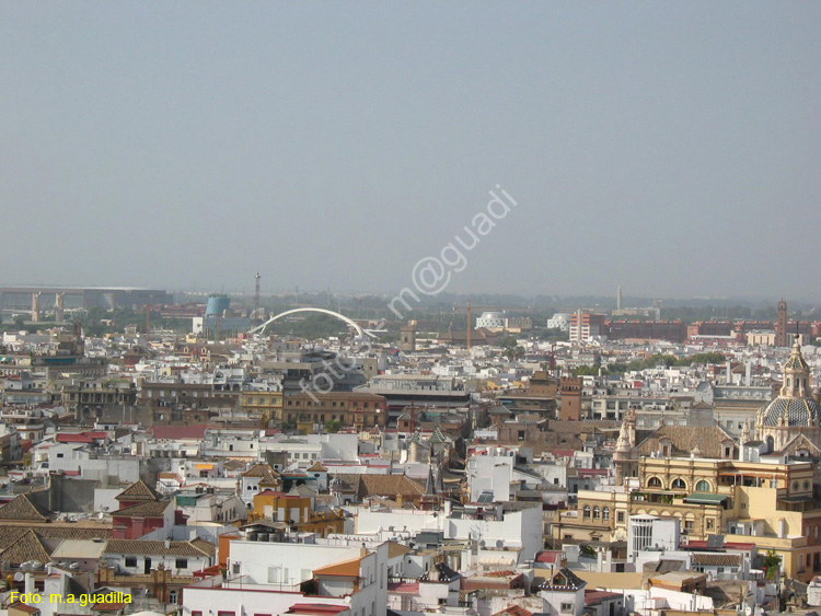 SEVILLA (170) Vista desde La Giralda