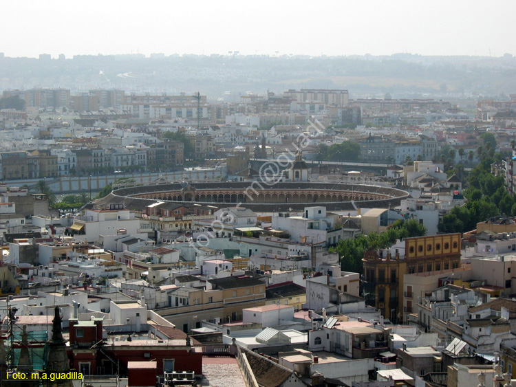 SEVILLA (171) Vista desde La Giralda