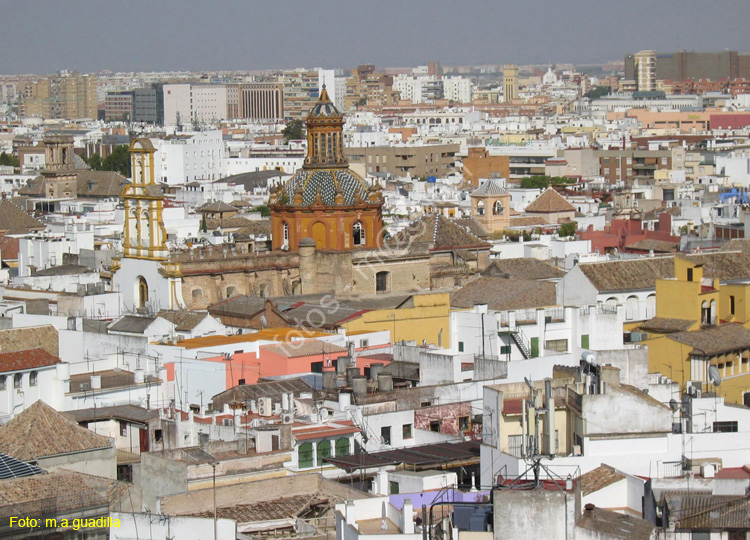 SEVILLA (172) Vista desde La Giralda