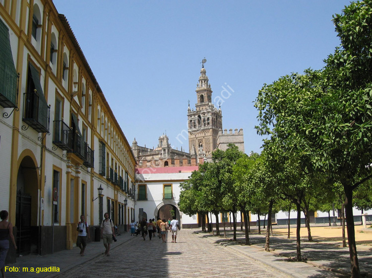 SEVILLA (276) Reales Alcazares