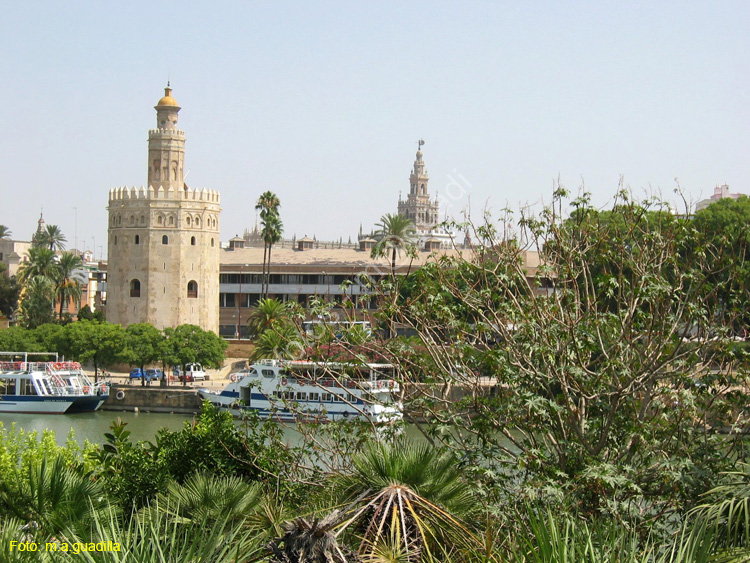 SEVILLA (287) Torre del Oro