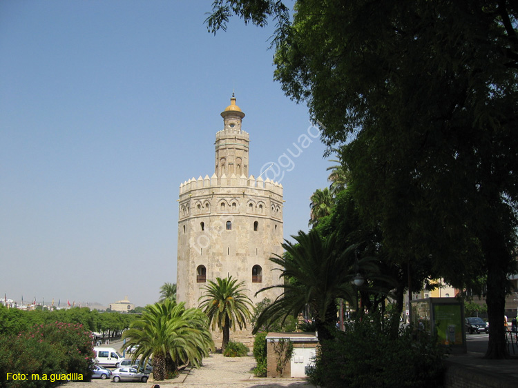 SEVILLA (290) Torre del Oro