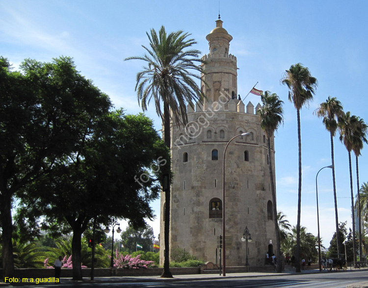 SEVILLA (293) Torre del Oro