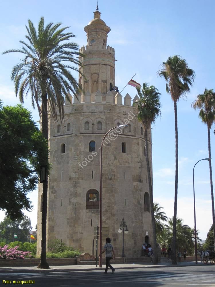 SEVILLA (294) Torre del Oro